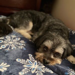 Meet your Posher, Mayra